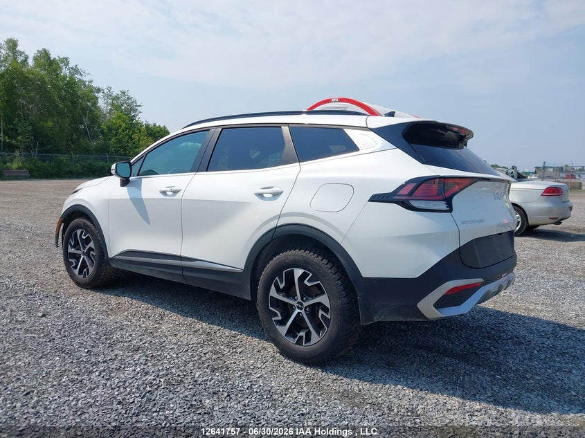 2024 Kia Sportage Ex/Ex Premium W/Black Interior/Ex Premium W/Red Interior VIN: KNDPVCDF6R7297182 Lot: 12641757