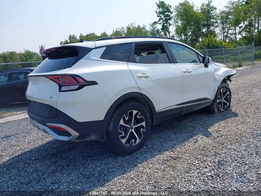 2024 Kia Sportage Ex/Ex Premium W/Black Interior/Ex Premium W/Red Interior VIN: KNDPVCDF6R7297182 Lot: 12641757