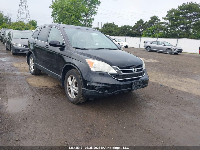 Vin: 5j6re4h71al820132, lot: 3043583, honda cr-v exl 2010 img_1