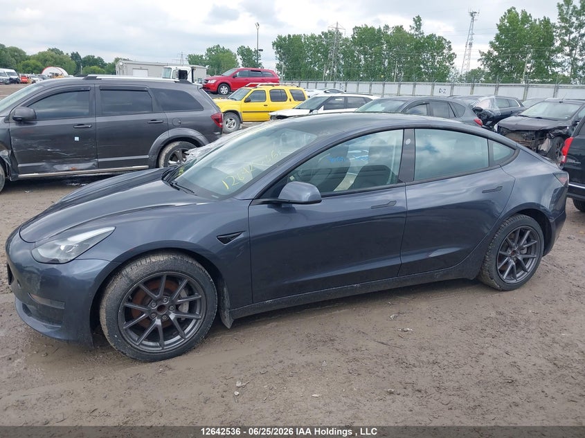 2021 Tesla Model 3 Standard Range/Standard Range Plus VIN: 5YJ3E1EA8MF083884 Lot: 12642536