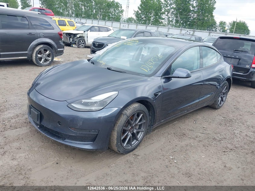 2021 Tesla Model 3 Standard Range/Standard Range Plus VIN: 5YJ3E1EA8MF083884 Lot: 12642536