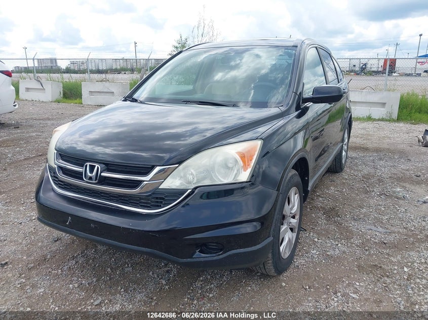 2010 Honda Cr-V Lx, Удар сзади, IAAI, VIN 5J6RE3H38AL800516 — фото 2