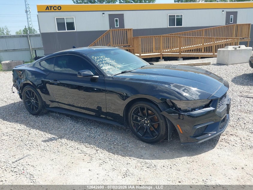 Vin: 1fa6p8th9r5146313, lot: 3043779, ford mustang 2024 img_1
