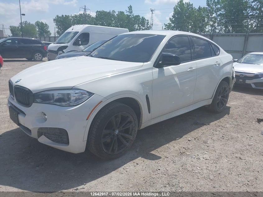 2018 BMW X6, Right Side, IAAI, VIN 5UXKU2C59J0X51307 — photo 2