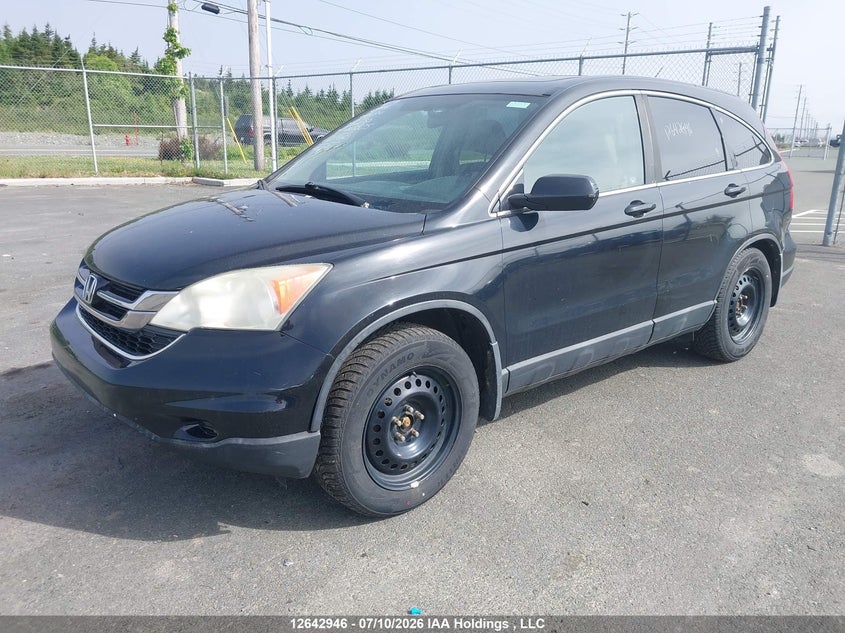 2010 Honda Cr-V Ex-L, Правый бок, IAAI, VIN 5J6RE4H75AL815550 — фото 2