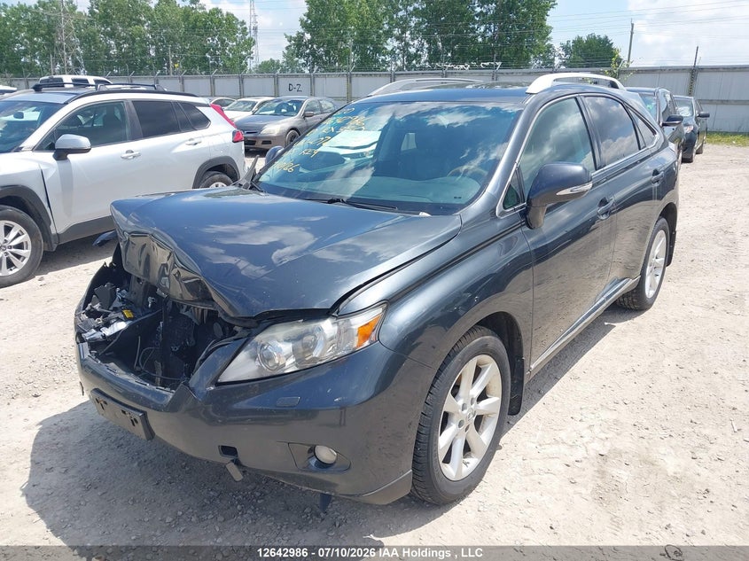 2010 Lexus Rx 350 VIN: 2T2BK1BA3AC072974 Lot: 12642986
