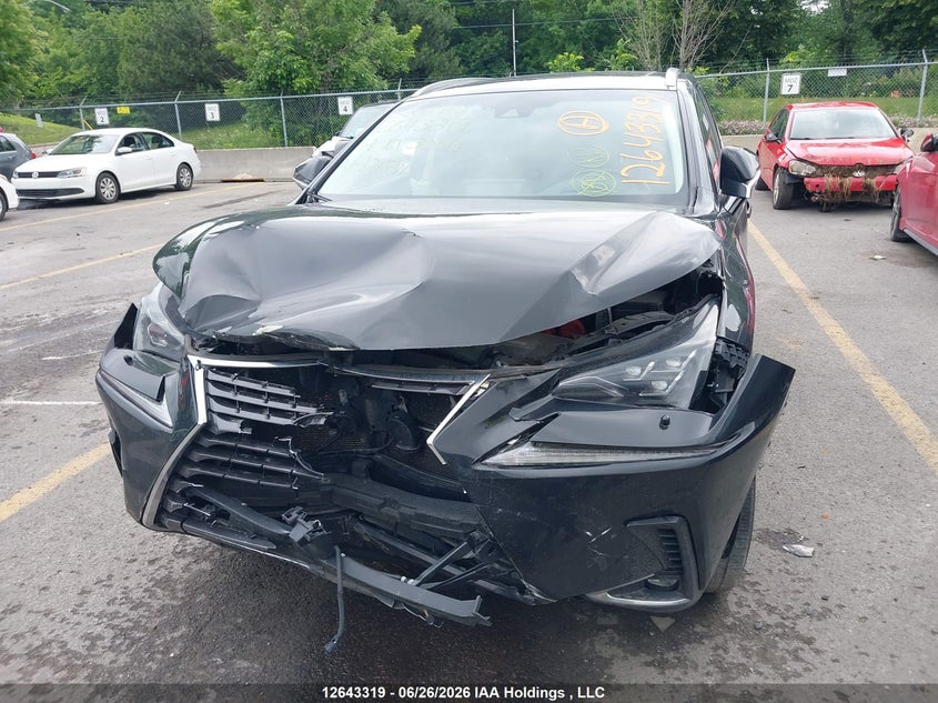 2019 Lexus Nx 300H VIN: JTJBJRBZ0K2101811 Lot: 12643319