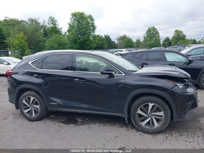 2019 Lexus Nx 300H VIN: JTJBJRBZ0K2101811 Lot: 12643319