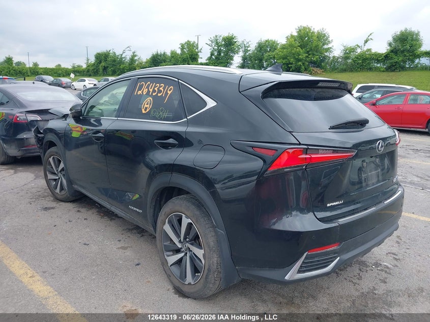 2019 Lexus Nx 300H VIN: JTJBJRBZ0K2101811 Lot: 12643319