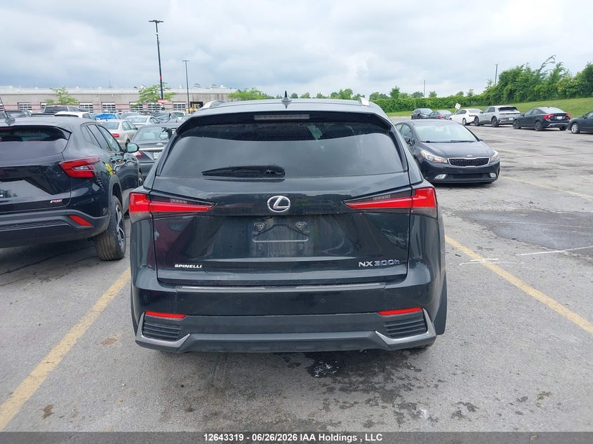2019 Lexus Nx 300H VIN: JTJBJRBZ0K2101811 Lot: 12643319