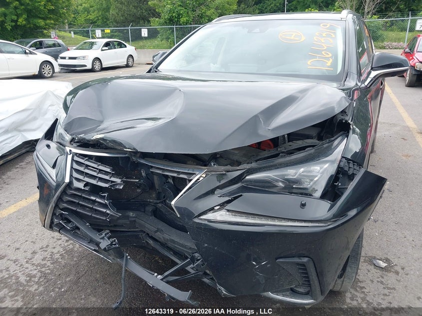 2019 Lexus Nx 300H VIN: JTJBJRBZ0K2101811 Lot: 12643319
