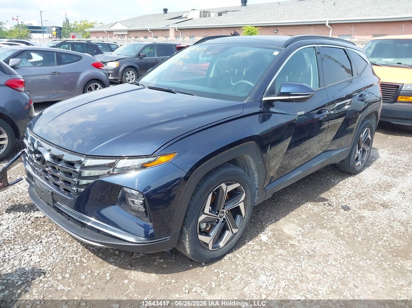 Vin: km8jcca14pu113632, lot: 3044549, hyundai tucson luxury 20232