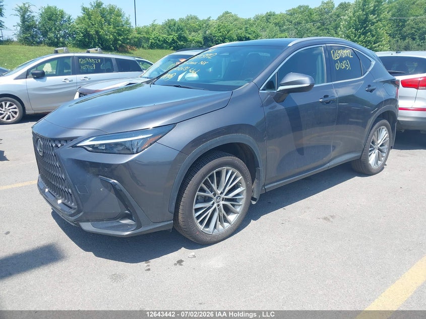 2023 Lexus NX, Затопление, IAAI, VIN 2T2GKCEZ1PC010131 — фото 2