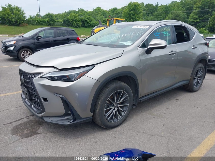 2023 Lexus NX, Left Side, IAAI, VIN 2T2ADCEZ4PC004100 — photo 2