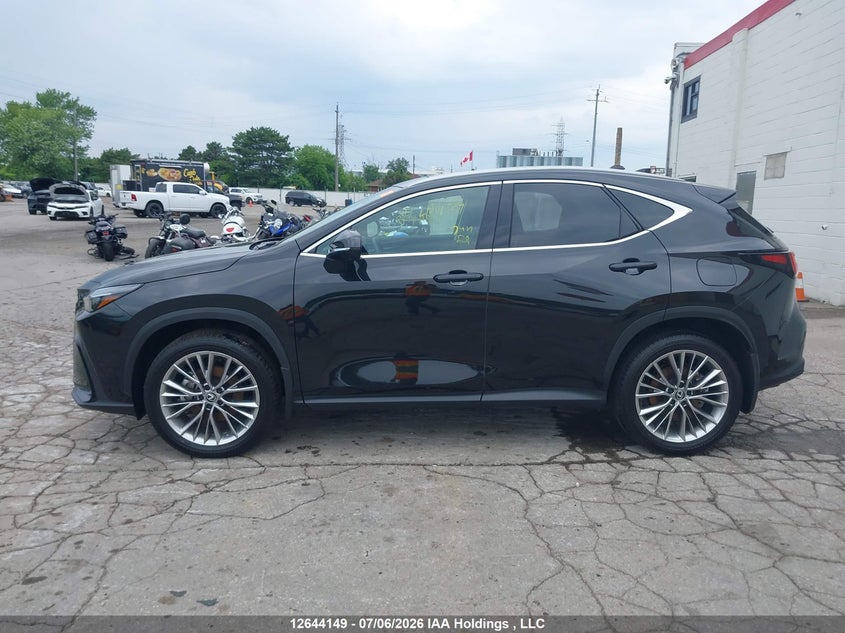 2025 LEXUS NX SPORT UTILITY VEHICLE 2.5L I-4 DI, DOHC, VVT, 189HP