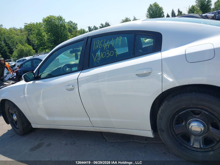 2012 Dodge Charger VIN: 2C3CDXAG1CH110307 Lot: 12644419