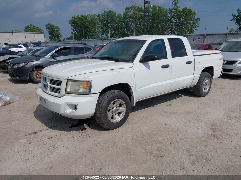 2011 Dodge Dakota, Благотворительность, IAAI, VIN 1D7RW3GK3BS649061 — фото 2