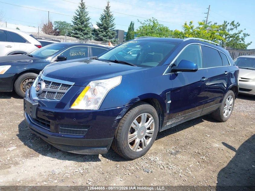 2010 Cadillac SRX, Rear, IAAI, VIN 3GYFNDEY6AS618669 — photo 2