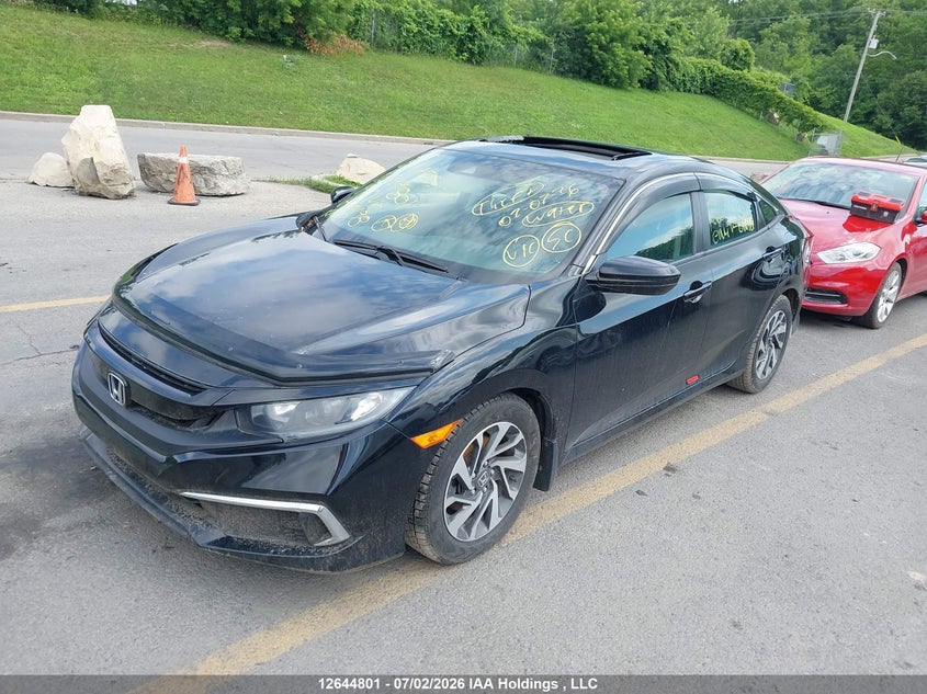 2019 Honda Civic, Био/химия, IAAI, VIN 2HGFC2F76KH041198 — фото 2