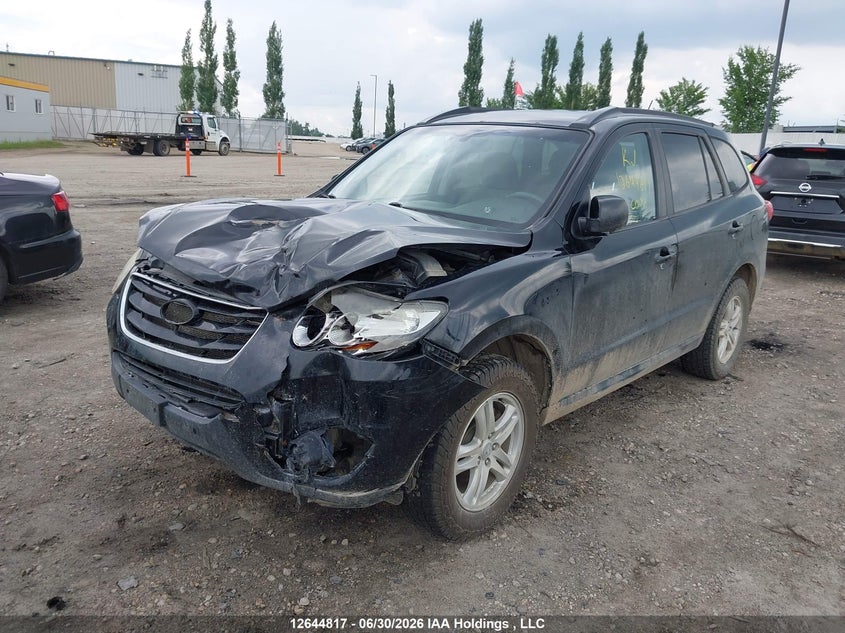 2010 Hyundai Santa Fe, Front, IAAI, VIN 5NMSG4AG7AH415910 — photo 2