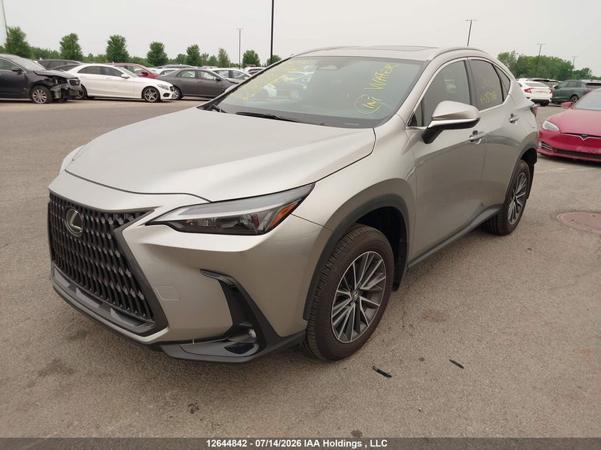 2025 Lexus NX, Water, IAAI, VIN JTJHKCFZ4S2057116 — photo 2