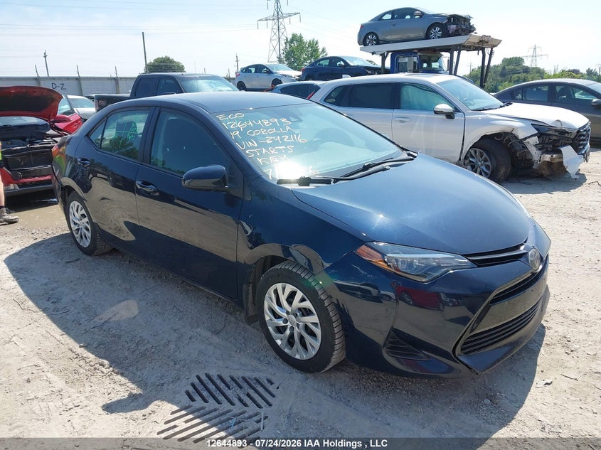 Vin: 2t1burhe7kc242116, lot: 3046125, toyota corolla le 2019 img_1
