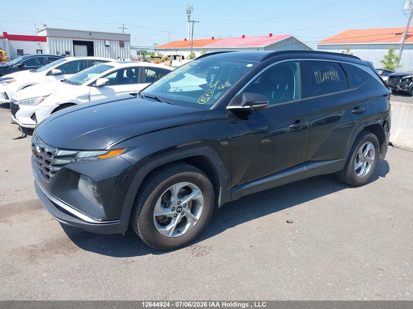 2022 Hyundai Tucson, Удар ззаду, IAAI, VIN KM8JCCAE8NU020791 — фото 2