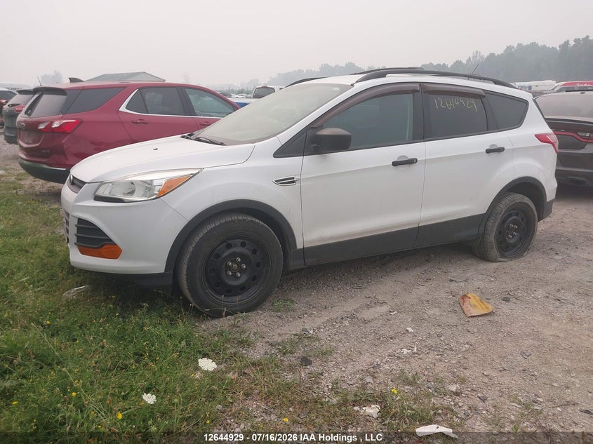 2014 Ford Escape, Right Side, IAAI, VIN 1FMCU0F74EUB18330 — photo 2