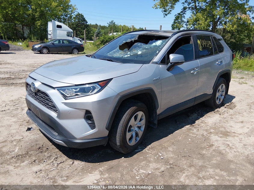 Vin: 2t3dwrfv0mw111785, lot: 3046205, toyota rav4 limited 20212