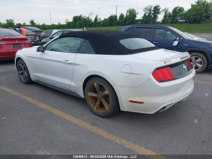 Vin: 1fatp8em9h5331828, lot: 3046245, ford mustang v6 20173