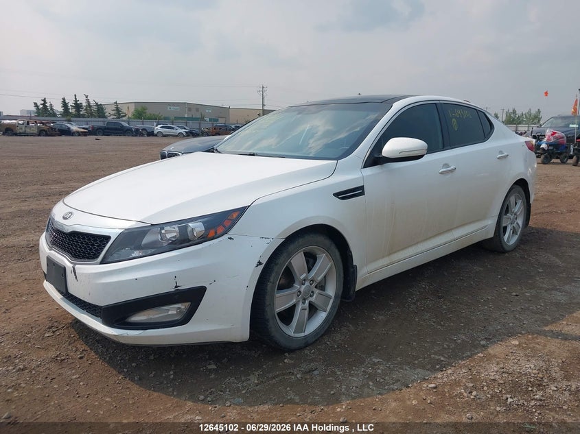 2013 Kia Optima, Rear, IAAI, VIN KNAGN4A76D5344408 — photo 2