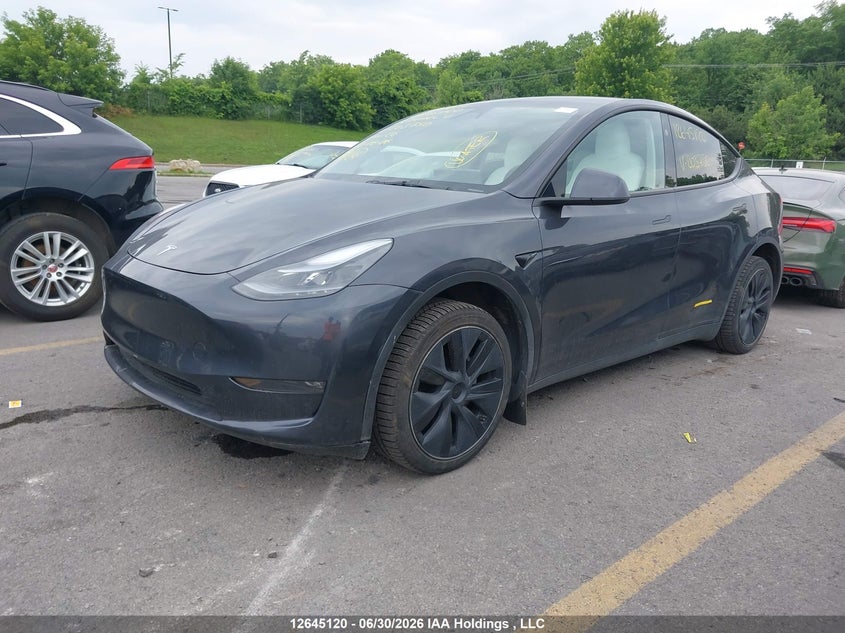 2024 Tesla Model Y, Затопление, IAAI, VIN 7SAYGDEEXRF203750 — фото 2