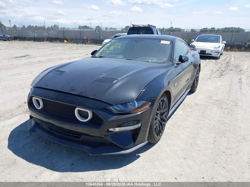 2019 Ford Mustang, Вилучене, IAAI, VIN 1FA6P8CF1K5160288 — фото 2