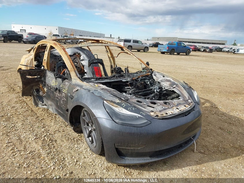 Vin: 5yj3e1ea6pf699619, lot: 3046610, tesla model 3 2023 img_1