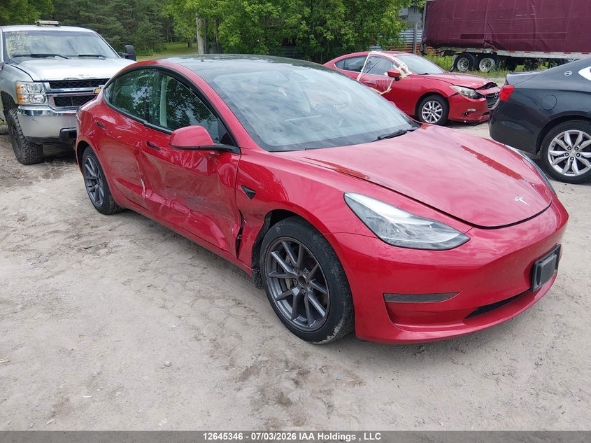 Vin: 5yj3e1ea2pf385336, lot: 3046620, tesla model 3 20231