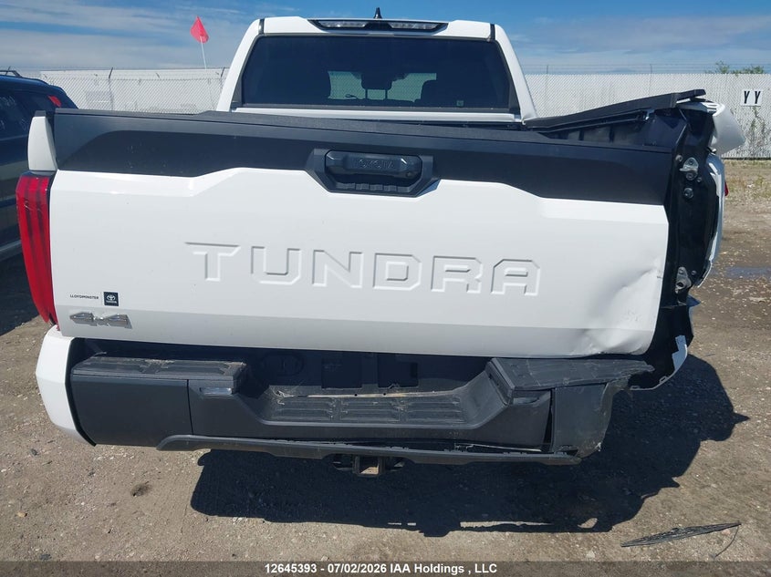 2025 Toyota Tundra Sr 4X4 VIN: 5TFLA5DB9SX329602 Lot: 12645393