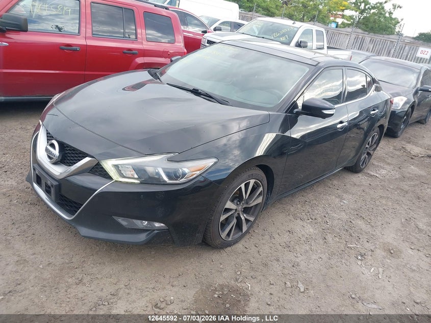 2016 Nissan Maxima, Rear, IAAI, VIN 1N4AA6AP4GC445842 — photo 2