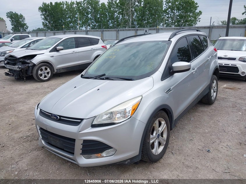2014 Ford Escape, Правый бок, IAAI, VIN 1FMCU0G98EUC62169 — фото 2