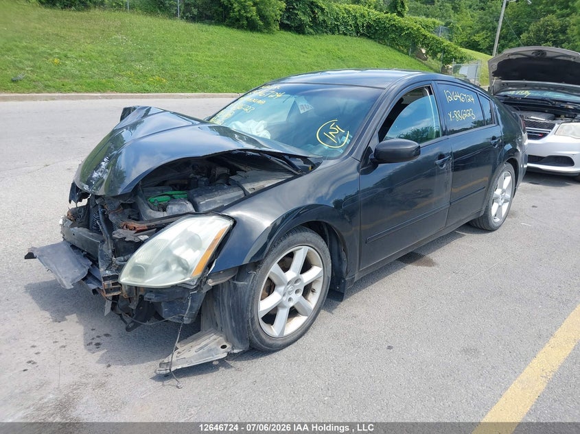 2004 Nissan Maxima, Удар спереду, IAAI, VIN 1N4BA41E74C886223 — фото 2