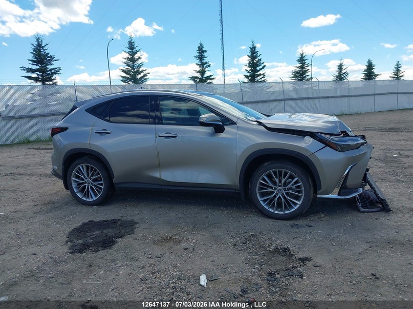 2025 LEXUS NX SPORT UTILITY VEHICLE 2.5L I-4 DI, DOHC, VVT, 189HP