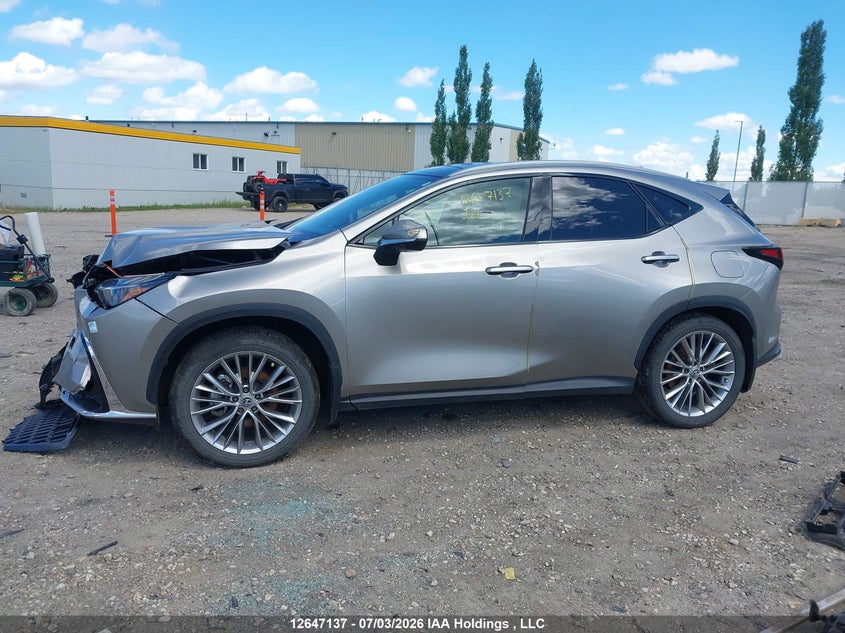 2025 LEXUS NX SPORT UTILITY VEHICLE 2.5L I-4 DI, DOHC, VVT, 189HP