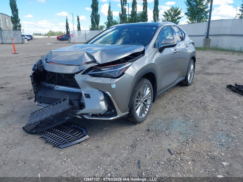 2025 LEXUS NX SPORT UTILITY VEHICLE 2.5L I-4 DI, DOHC, VVT, 189HP