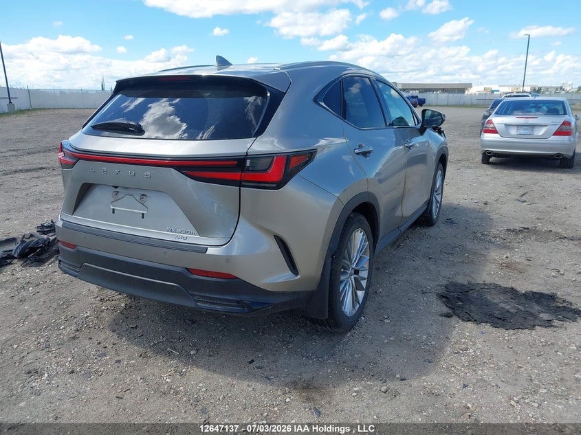 2025 LEXUS NX SPORT UTILITY VEHICLE 2.5L I-4 DI, DOHC, VVT, 189HP