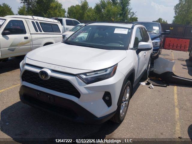 2025 Toyota Rav4 Xle VIN: 2T3R1RFV5SW504084 Lot: 12647222