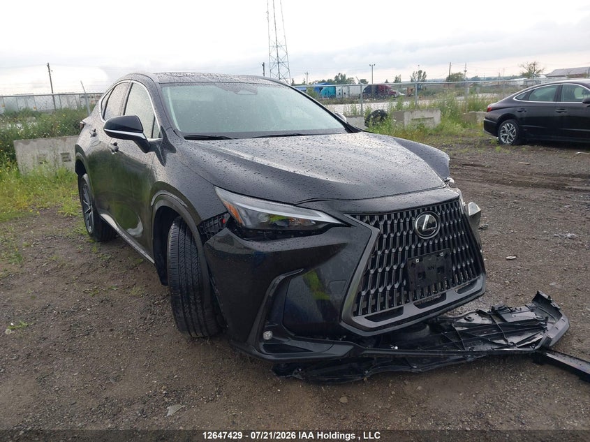 2025 Lexus Nx 350, Front, IAAI, VIN 2T2GGCEZ4SC070933