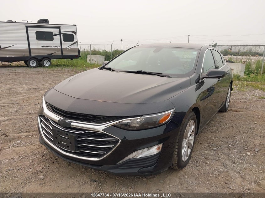 2019 Chevrolet Malibu, Удар ззаду, IAAI, VIN 1G1ZD5ST5KF163705 — фото 2