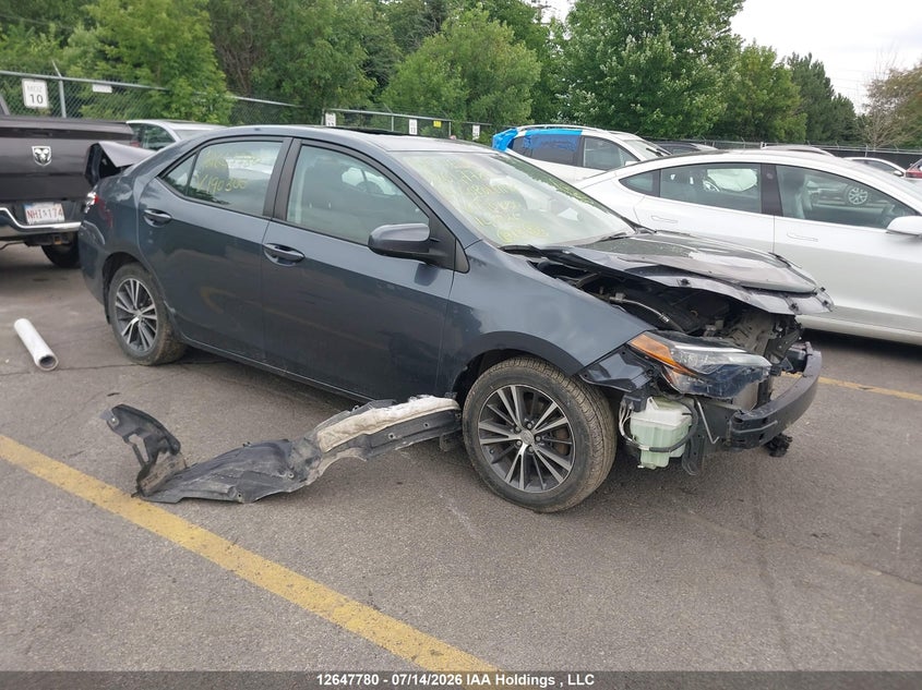 Vin: 2t1burhe2kc190300, lot: 3049254, toyota corolla le 2019 img_1