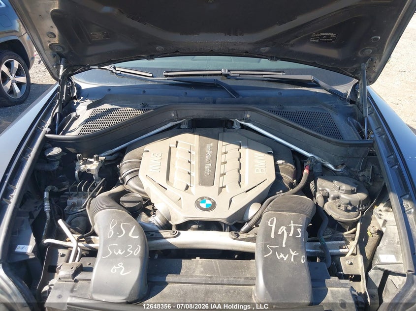2011 BMW X6 xDrive50I VIN: 5UXFG8C57BLZ95291 Lot: 12648356