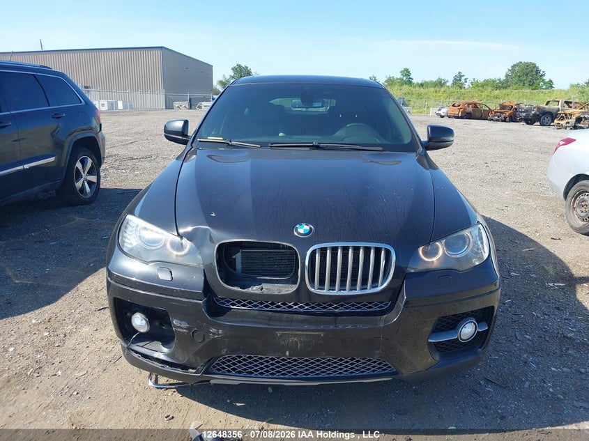 2011 BMW X6 xDrive50I VIN: 5UXFG8C57BLZ95291 Lot: 12648356