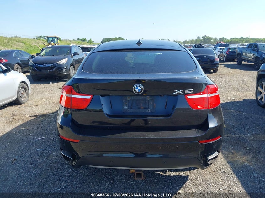 2011 BMW X6 xDrive50I VIN: 5UXFG8C57BLZ95291 Lot: 12648356